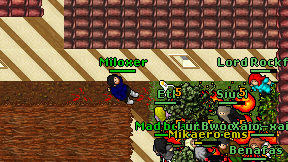 Miloxer on screen