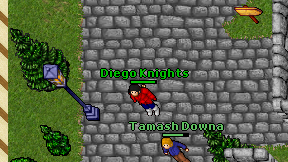 Diego Knights on screen