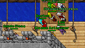 Qestor on screen