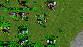 Darota on screen