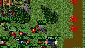 Lizzoku on screen