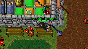 Larbix Merem on screen