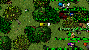 Novynha on screen