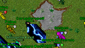 Curanderopoll on screen