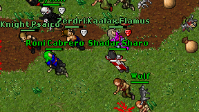 Shadar Sharo on screen