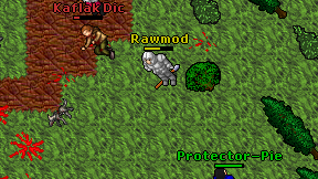 Rawmod on screen