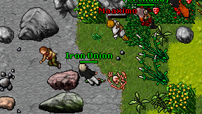 Iron Onion on screen