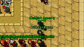 Knight Amora on screen
