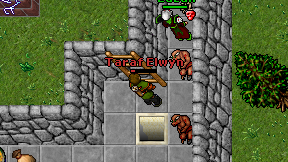 Taraf Elwyn on screen