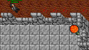 Pawelix on screen