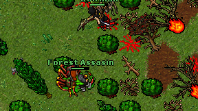Forest Assasin on screen