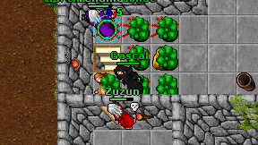 Gascal on screen