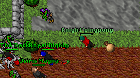 Knight'pingpong on screen
