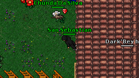 San Sebastian on screen