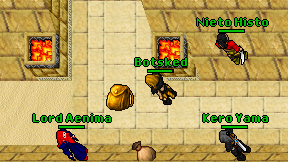 Botsked on screen