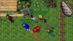 Lazin Prox on screen