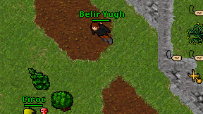 Belir Yugh on screen