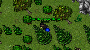 Maldito sodboa on screen