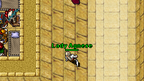 Lady Agnese on screen