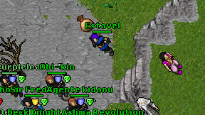 Estavel on screen