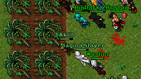 Magina Slayer on screen