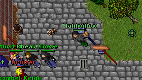 Mahlwillow on screen