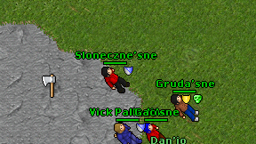 Sloneczne'sne on screen