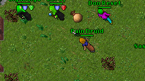 Pain Druid on screen