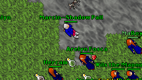 Marcin-Shadow Pall on screen