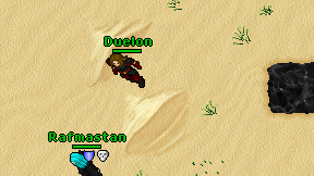 Duelon on screen
