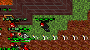 Wanniball on screen