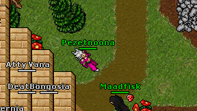 Pezetnoona on screen