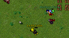 Leth Colin on screen