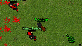 Tarpup on screen