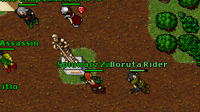 Boruta Rider on screen