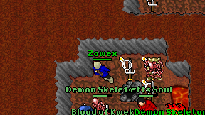 Zowex on screen