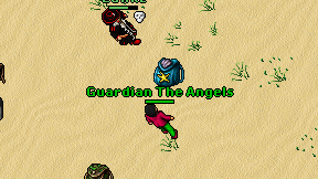 Guardian The Angels on screen