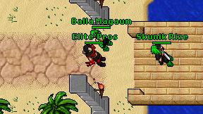 Elite'Pros on screen