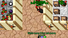 Sorcererka on screen