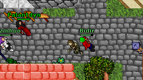 Bidir on screen