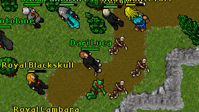 Dari Luca on screen