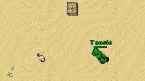 Taosie on screen