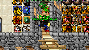 Mist Paladyn on screen