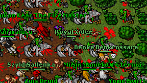 Royal Xider on screen
