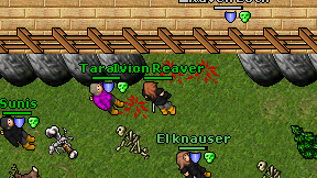 Ivion Reaver on screen