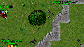 Avassalador on screen