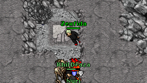 Zexfida on screen