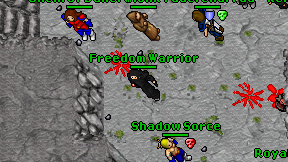 Freedom Warrior on screen