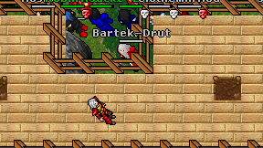 Bartek-Drut on screen