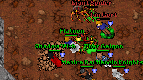 Flatnon on screen